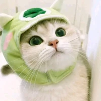 แอดเองคนเดิม