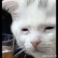 แอดบ้า