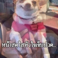 แอดเอง~(คนไม่เต็ม)