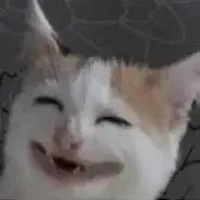เเอดเองฮ้าฟ~