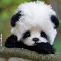 แอดเอง~^^