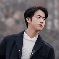 Seokjin (O)