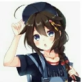 nisa