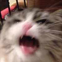 เเเอดเองจร้าา