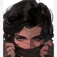 Ryder levi
