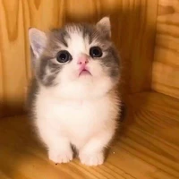 นก