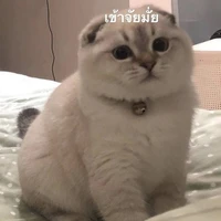 เเอดกินไก่ชาวบ้าน~!