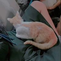แอดเอง