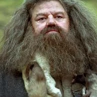 Hagrid