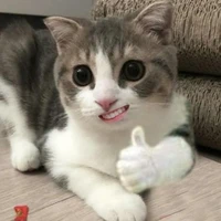 สมปอง