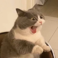 เฮียศรี