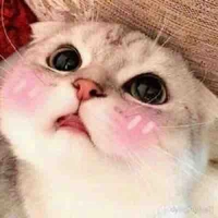 ฮานิ