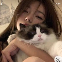 โตโย