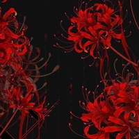 Higanbana {แอด}