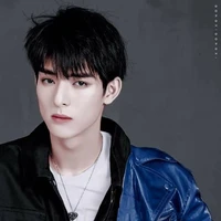 ฟิค