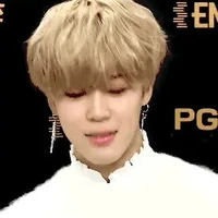 chim chim/jimin