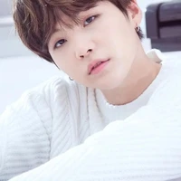 suga(jimin