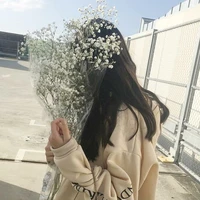 แพง