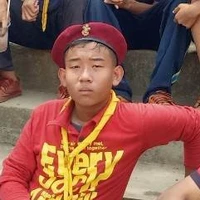 ฟิม