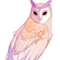 Neri