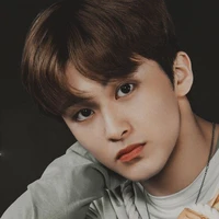 lee mark