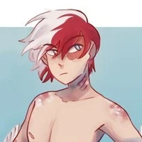 Shoto Todoroki