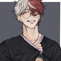 Shoto Todoroki /A.P/