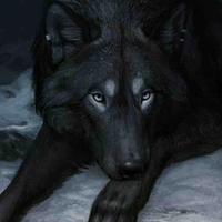 Tundra