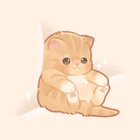 𝙰𝚞𝚝𝚑𝚢 <Author> ♡︎