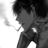 Shiba /A,P/