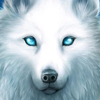lobo