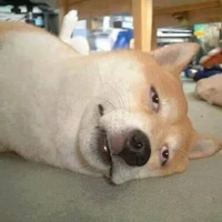 ไอแอดงาย