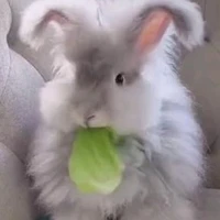 ลูซี่ เทีย