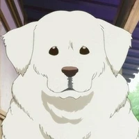 Cottonball