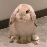 หุรุ