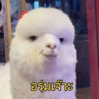 เเอดเอง