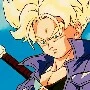 TRUNKS FALSO