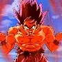 GOKU FALSO