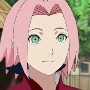 sakura
