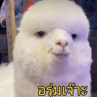 ？？？