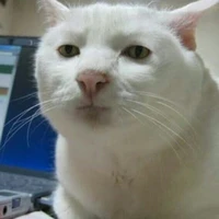 แอดปสด.