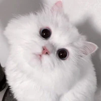 ยูนิ🥺