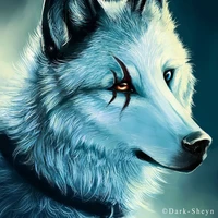 usiel lobo de Darius