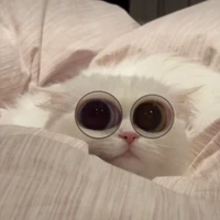 หยุมหัวพระเอกมั้ยคะพรี่ๆ