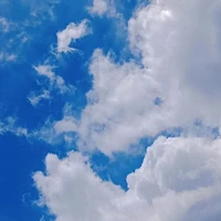 All
