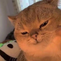 แอด