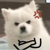 แอดคนเดิม:)