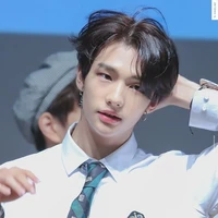 Hwang Hyunjin (Stray Kids)
