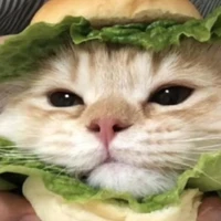 แอดดดด