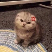 แอด